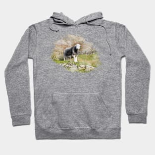 Herdwick Sheep Watercolour Photo Hoodie